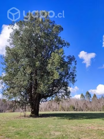 Parcela Villarrica