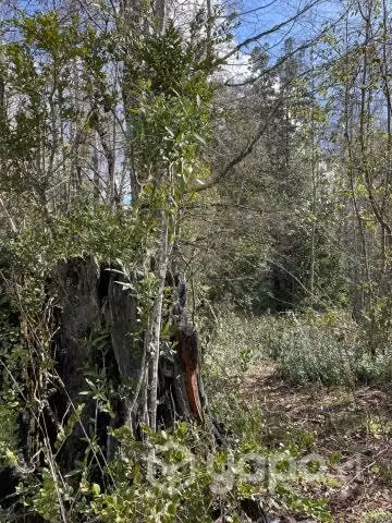 Parcela Villarrica