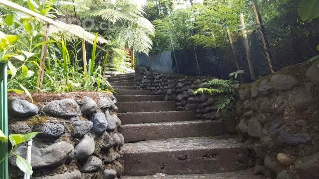 Cabañas en licanray