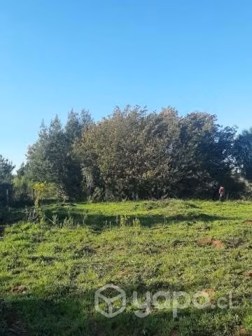 sitio a 2 minutos San Ignacio