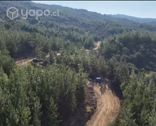 Parcela 5.000 m2