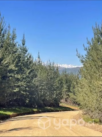 Parcela 5.000 m2