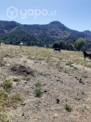 Venta terreno