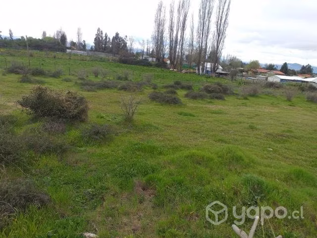 Terreno 8500M² - Imagen 3