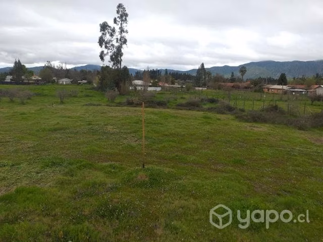 Terreno 8500M² - Imagen 4