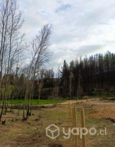 Terreno sta Juana