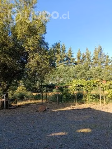 Parcela con casa en Longavi - Imagen 4