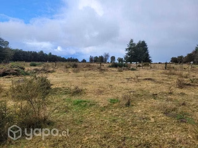 Terreno Mocopulli-Dalcahue