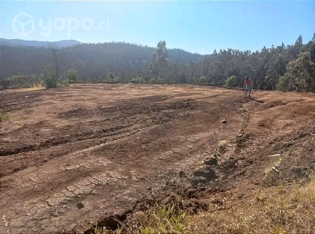 Vendo terreno en quillon 5.000 metros cuadrados