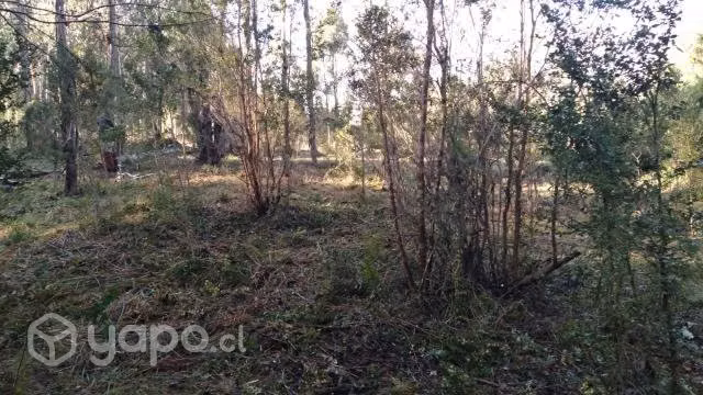Parcela con vertiente agua