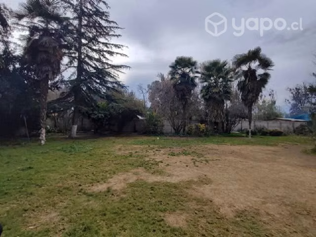 Sitio BUIN SECTOR DE MAIPO