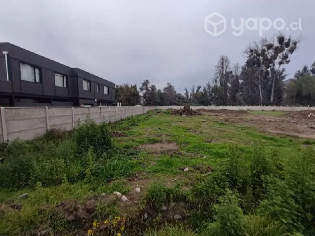 Sitio BUIN SECTOR DE MAIPO