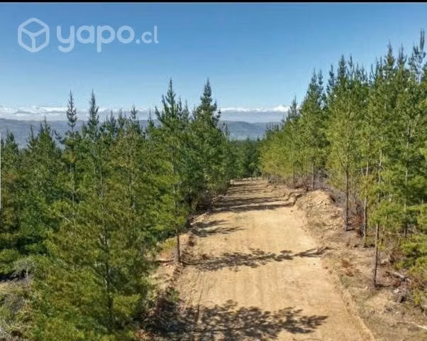 parcela de 10.000 m2