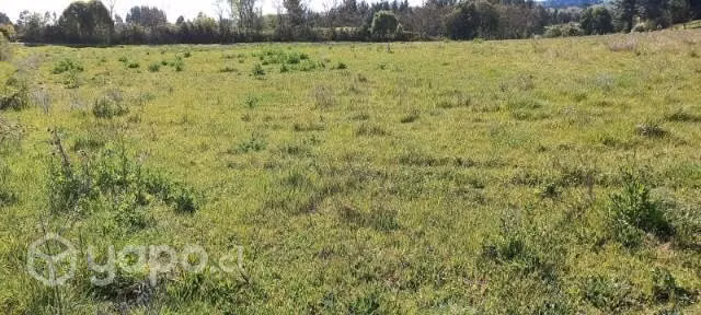 Venta de terreno 12500 m2 en Lautaro - Imagen 8
