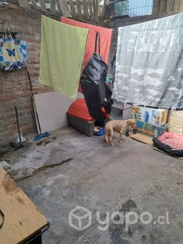 Vendo casa psje santa ana con observatorio