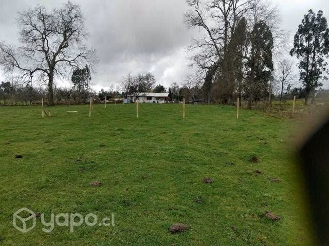 Parcelas cerca Lago Ranco
