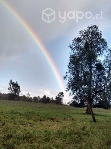 Parcelas cerca Lago Ranco
