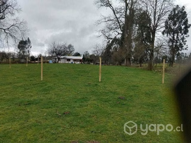 Parcelas cerca Lago Ranco