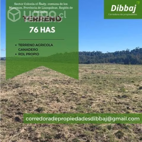 Terreno agricola en los muermos