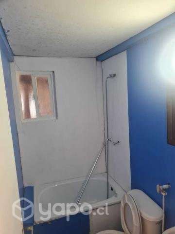 Mirasol - Imagen 5