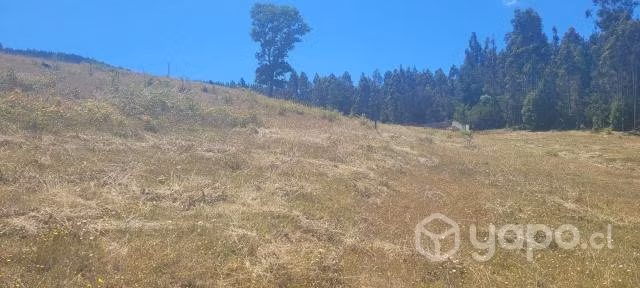 Venta de Terreno
