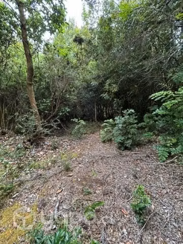 Hermosa parcela en Linao - Imagen 3