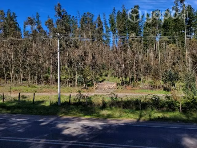 Se vende parcela 5.500 m2 útiles camino Galvarino
