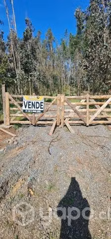 Se vende parcela 5.500 m2 útiles camino Galvarino