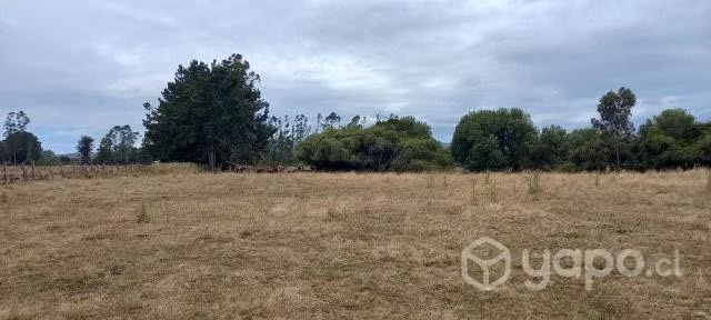 Vendo parcela en Hualpín