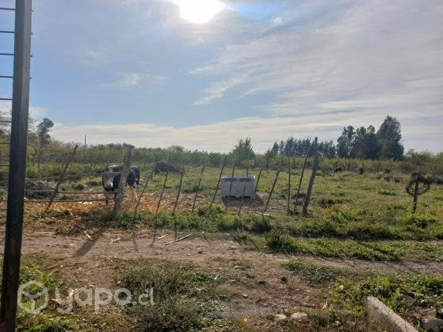 Terreno molina - Imagen 2