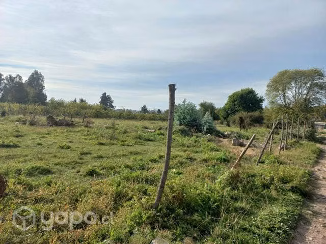 Terreno molina - Imagen 9