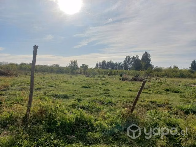 Terreno molina - Imagen 10