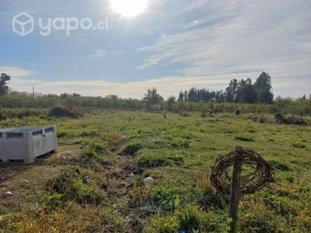 Terreno molina - Imagen 14