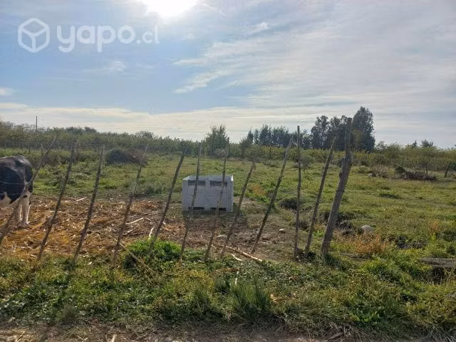 Terreno molina - Imagen 13