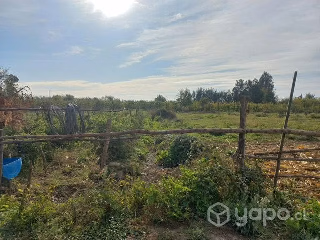 Terreno molina - Imagen 3