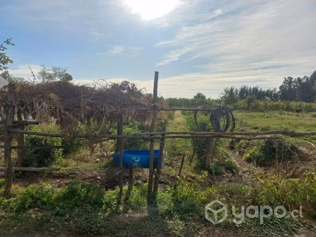 Terreno molina - Imagen 4