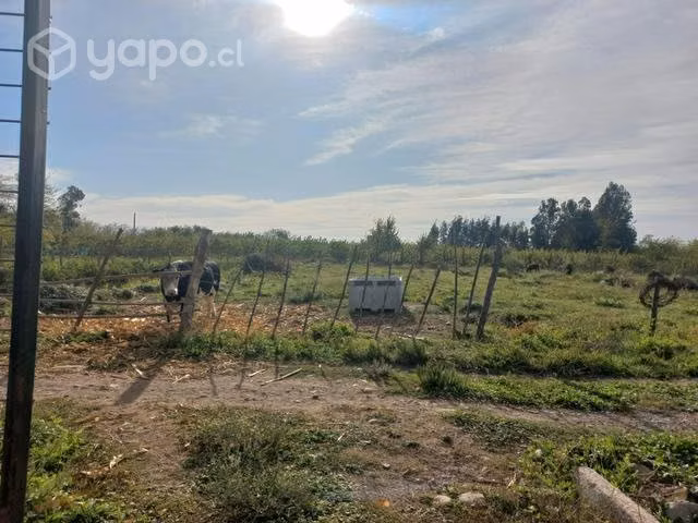 Terreno molina - Imagen 7