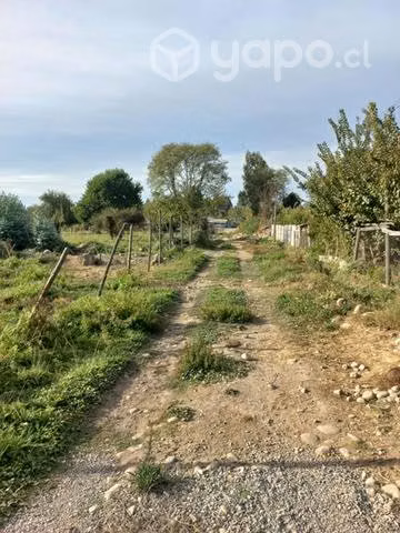 Terreno molina - Imagen 16