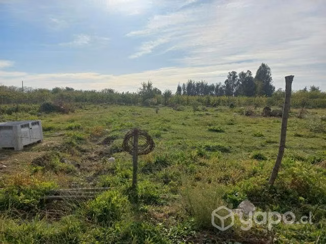 Terreno molina - Imagen 8