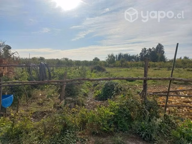 Terreno molina - Imagen 18