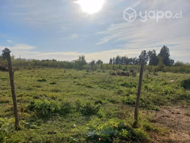 Terreno molina - Imagen 15