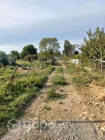 Terreno molina - Imagen 5