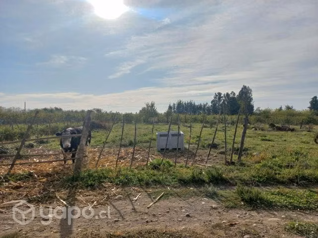 Terreno molina - Imagen 6
