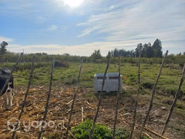 Terreno molina - Imagen 12