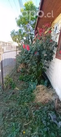 Casa Villa Langdon