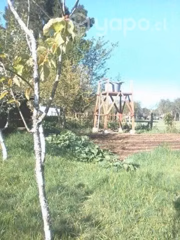 Terreno con casa