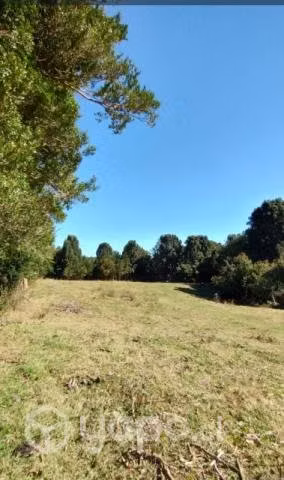 Campo con Orilla de Rio y Casa. Sector Rio Blanco