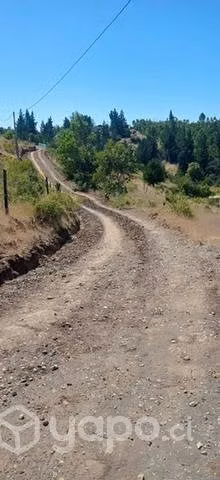 Parcela en tomeco