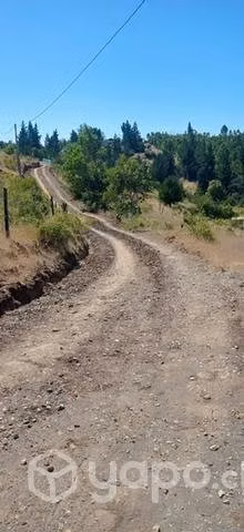 Parcela en tomeco