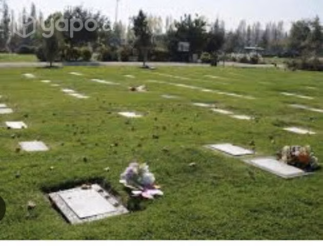 Cementerio Parque el Prado - Imagen 2